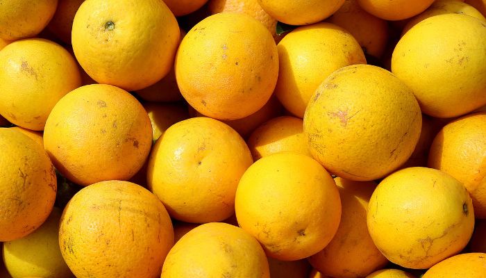 Hortigranjeiros do Paraná estão com preços mais acessíveis ao consumidor no começo de 2026